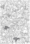 Coloring pages autumn in the forest