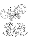 Coloring pages butterfly enjoys