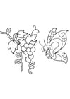 Coloring pages butterfly in grapes