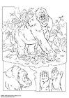 Coloring pages gorilla