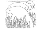 Coloring page manatee - img 5738.