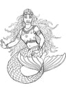 mermaid of Shamrock