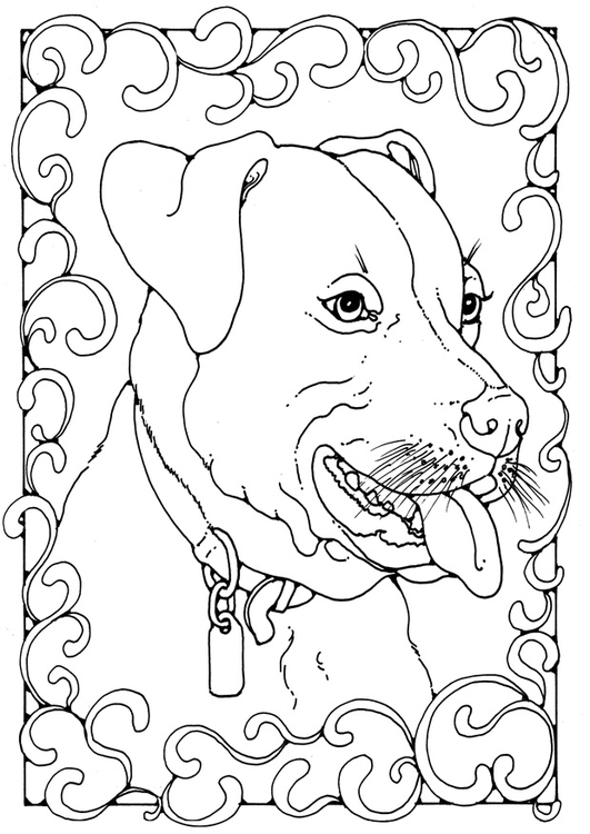 Coloring page staffordshire bull terrier