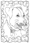 Coloring pages staffordshire bull terrier