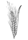 Coloring pages wheat