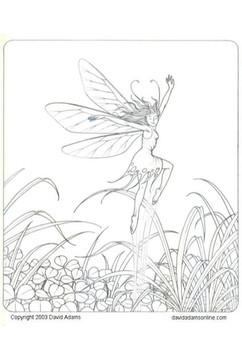 fairy