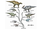 evolution of the dinosaurs