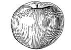 Coloring page Apple