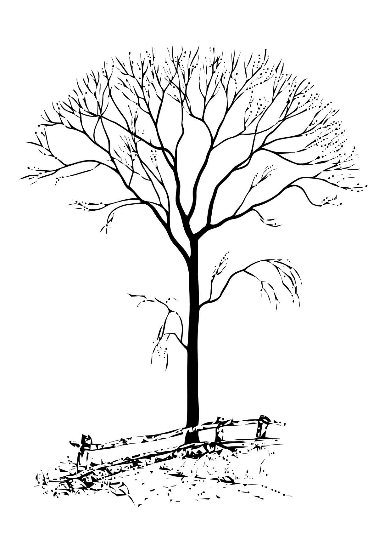 Coloring Page bare tree free printable coloring pages Img 11331