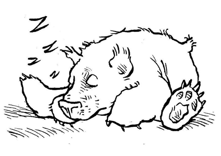 free coloring pages sleeping bear resort