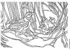 Coloring pages bird with nest