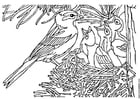Coloring pages bird with nest