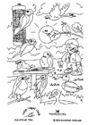 Coloring pages birds in the park