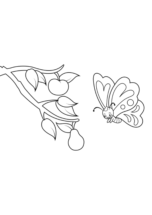 Coloring page butterfly sees pear