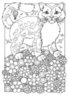 12 Desert life Coloring Pages 2020 Free Printable