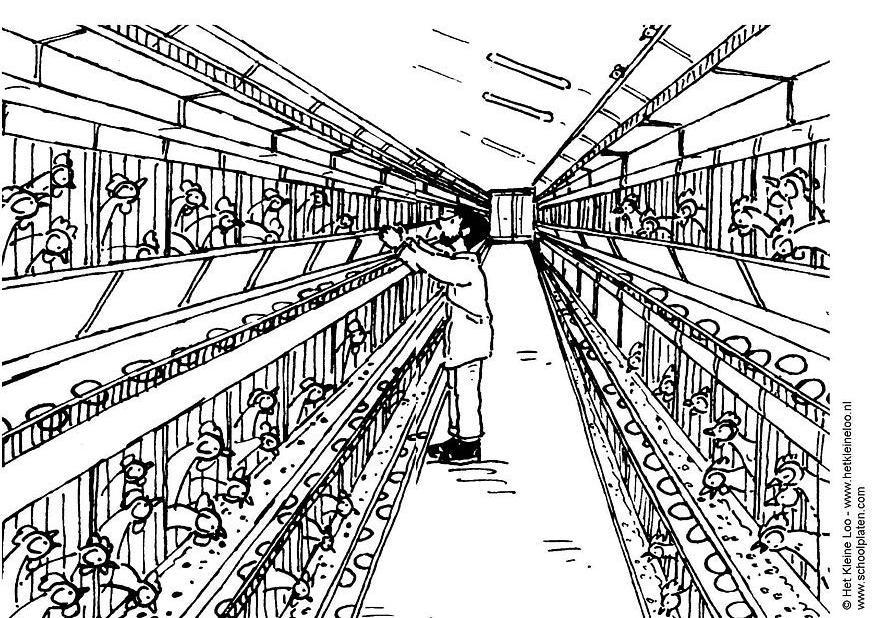 chicken coop coloring page