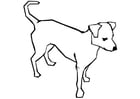 Coloring page dog