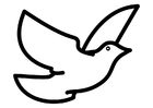 Coloring pages dove