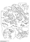 Coloring pages eagle