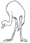 Coloring pages emu