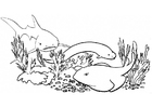 Coloring pages fish and sharks