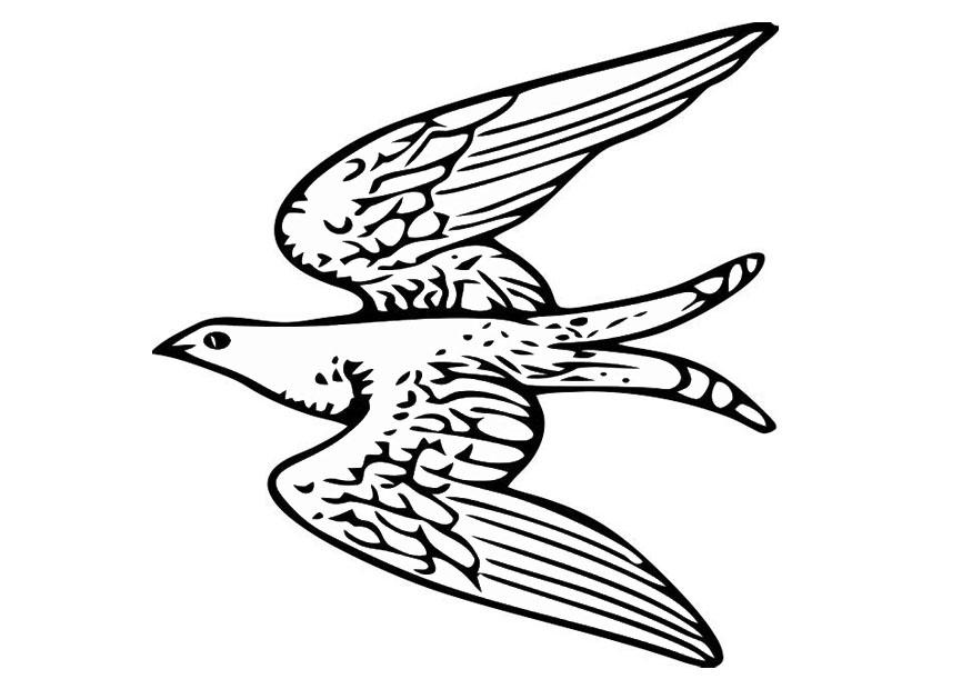 flying birds coloring page