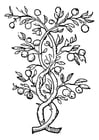 Coloring page fruit tree