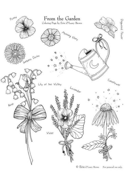 Coloring Page garden flowers - free printable coloring pages - Img 5998