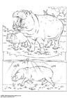Coloring page hippopotamus
