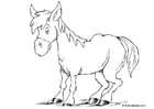 Coloring pages horse