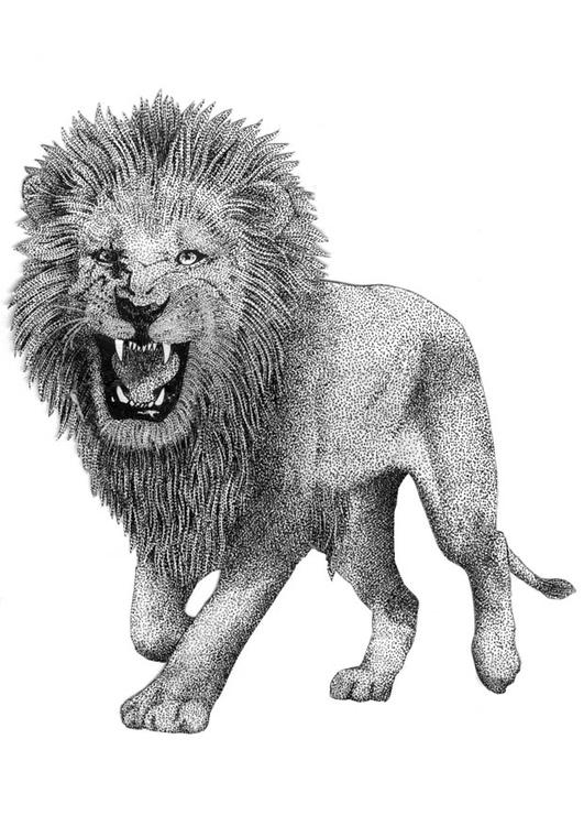realistic lion coloring pages