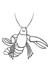 Coloring pages lobster