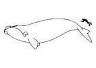 Coloring pages man and whale