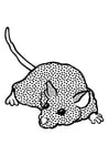 Coloring page mouse