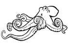 Coloring pages octopus