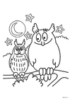 Coloring pages Owls