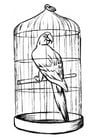 Coloring pages parrot in a cage