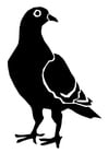 Coloring pages pigeon