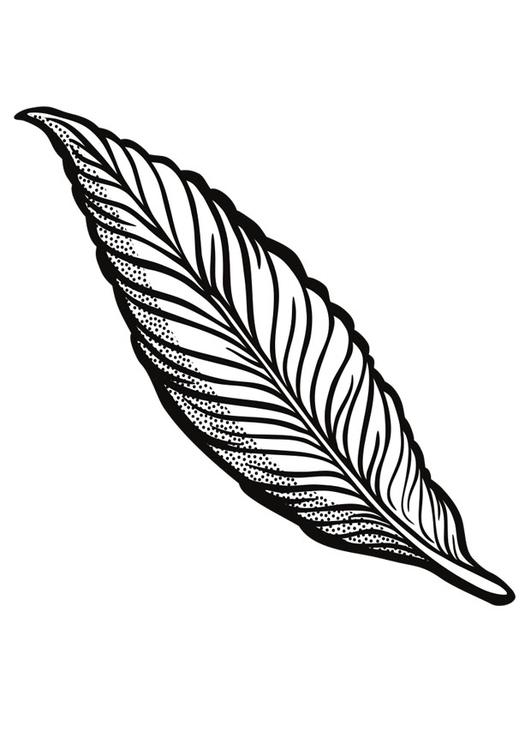 Coloring Page plume - free printable coloring pages - Img 29818