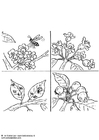 Coloring page pollinate