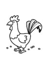 Coloring page Rooster
