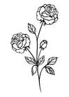 112 flowers coloring pages free printable coloring pages
