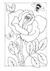Coloring pages rose with bee and butterfly