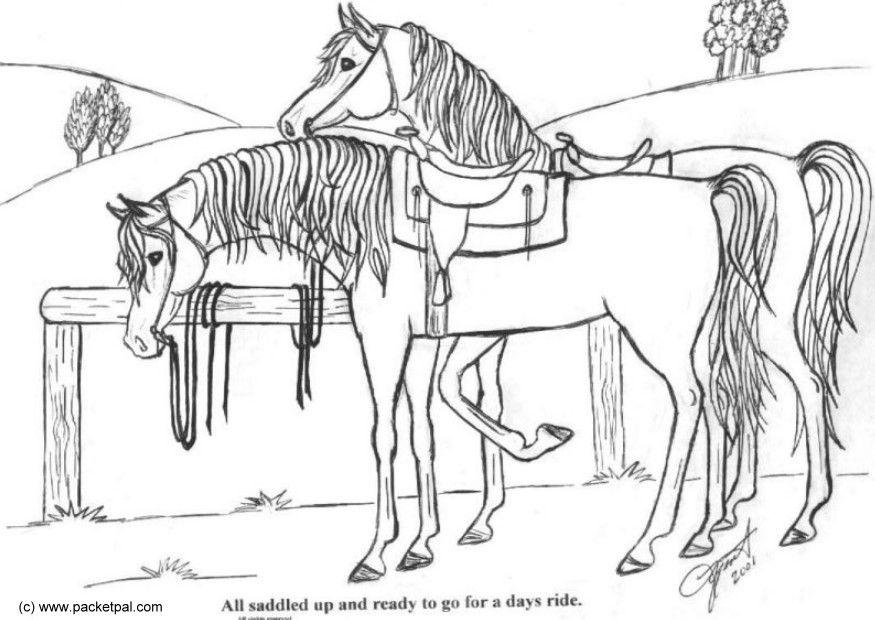 Horses Coloring Book: Saddle Up for Coloring Fun - 50+ Adorable
