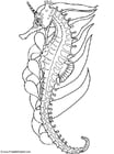 Coloring pages sea horse