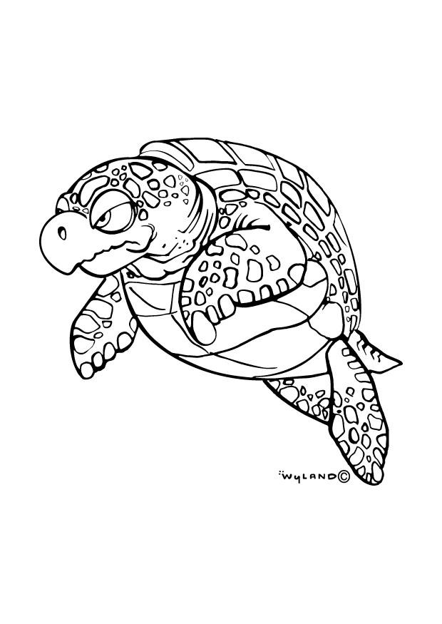 nemo sea turtle coloring page
