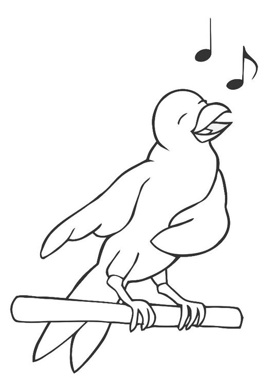 Coloring Page singing bird - free printable coloring pages - Img 19450