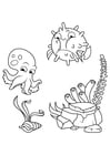 Coloring page squid and puffer fish swim around