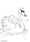 Coloring pages swan