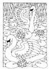 Coloring pages swans